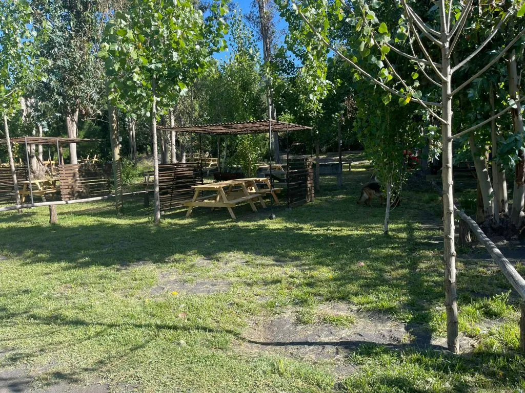 Zona de picnic con mesas y pérgolas bajo álamos en Camping Aguas Verdes
