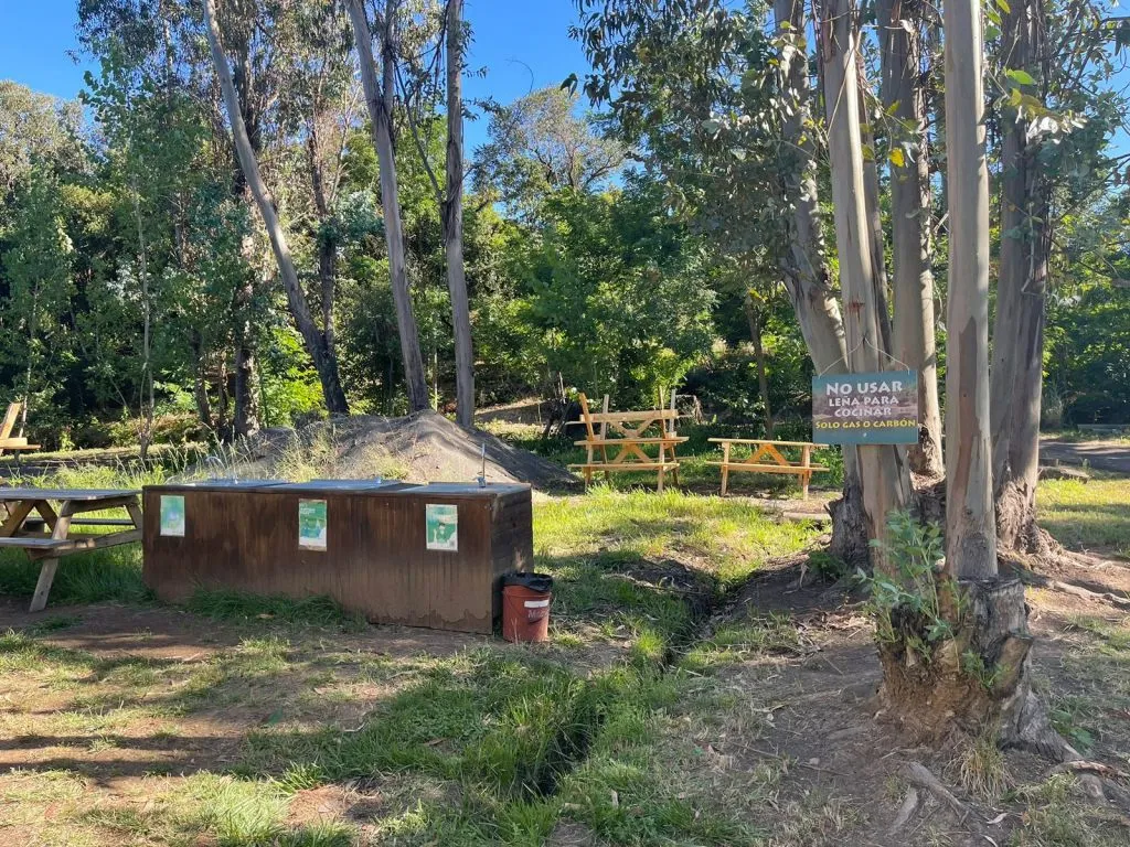 Área de lavado y mesas de picnic junto a eucaliptos en Camping Aguas Verdes